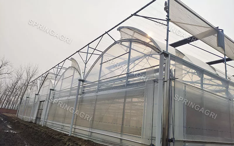Invernadero de película transparente PO de 150 micrones