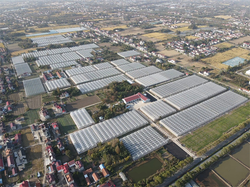 El Decimoquinto Plan Quinquenal ha ayudado a que la agricultura de instalaciones se desarrolle vigorosamente