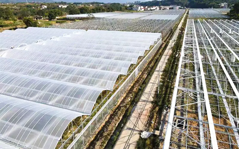 Explore el invernadero plástico ventilado de la cresta para aumentar la producción y resolver el problema de la alta temperatura