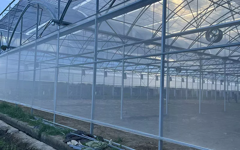 Greenhouse Insect Net lidera una nueva tendencia en el control de plagas