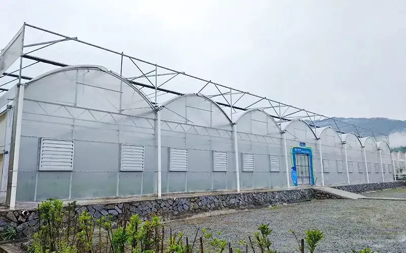 La transformación tecnológica de los invernaderos de plástico: el arma secreta para duplicar los rendimientos