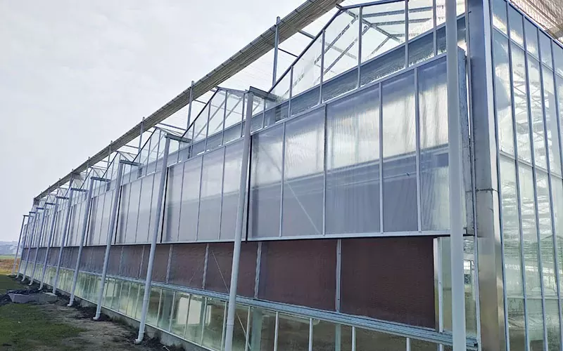 Invernadero de policarbonato transparente de varios tramos a la venta