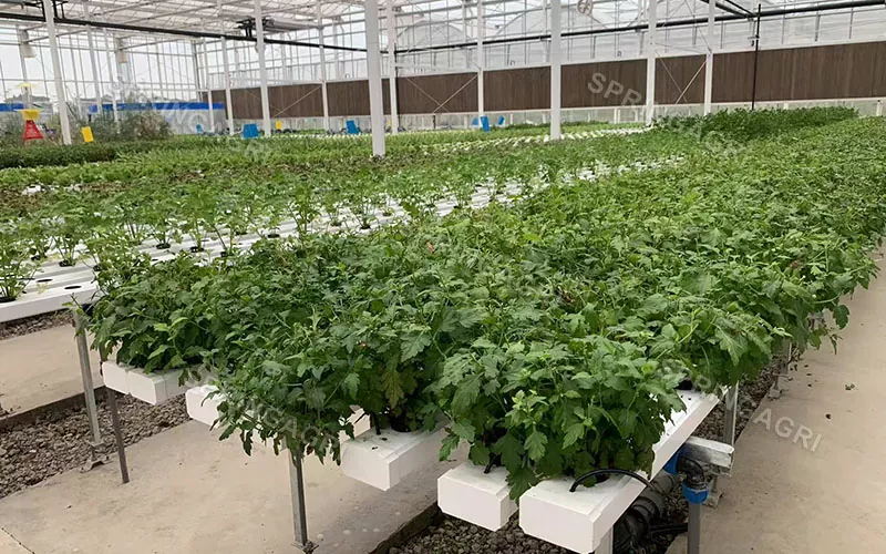 Sistemas de cultivo hidropónicos de cultivo vertical NFT